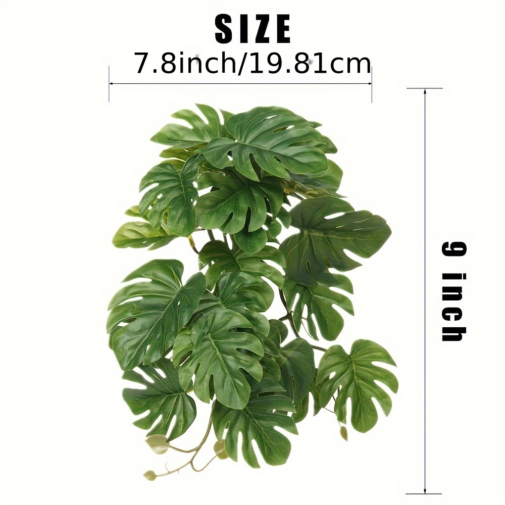 Reptile Plants for Terrarium A - Terrarium Moss Art 评论和价格