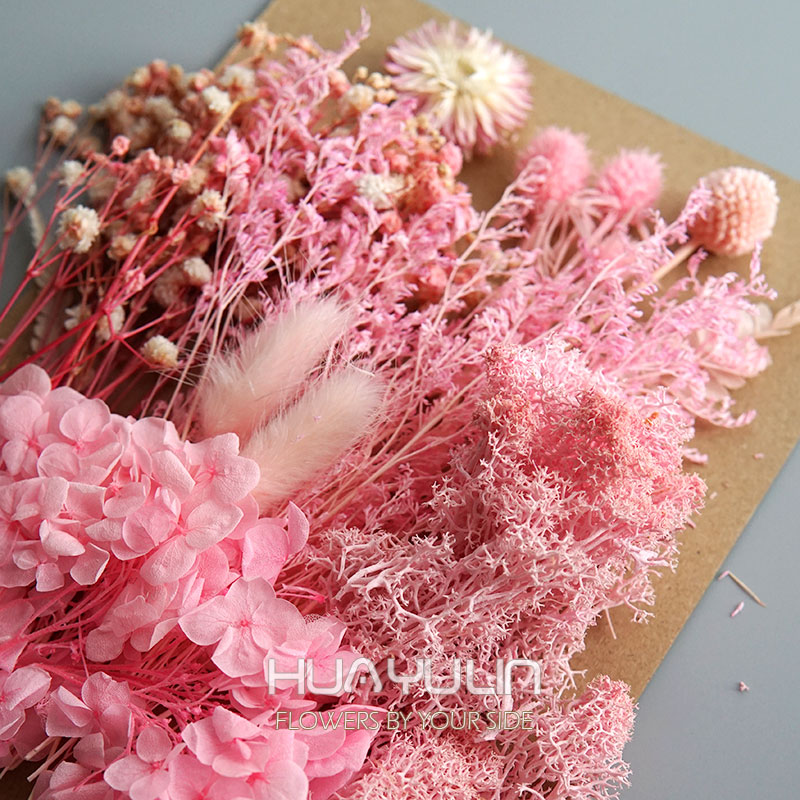 1 Pack Artificial Plants Dried - Flower Preservation Resin 评论和价格