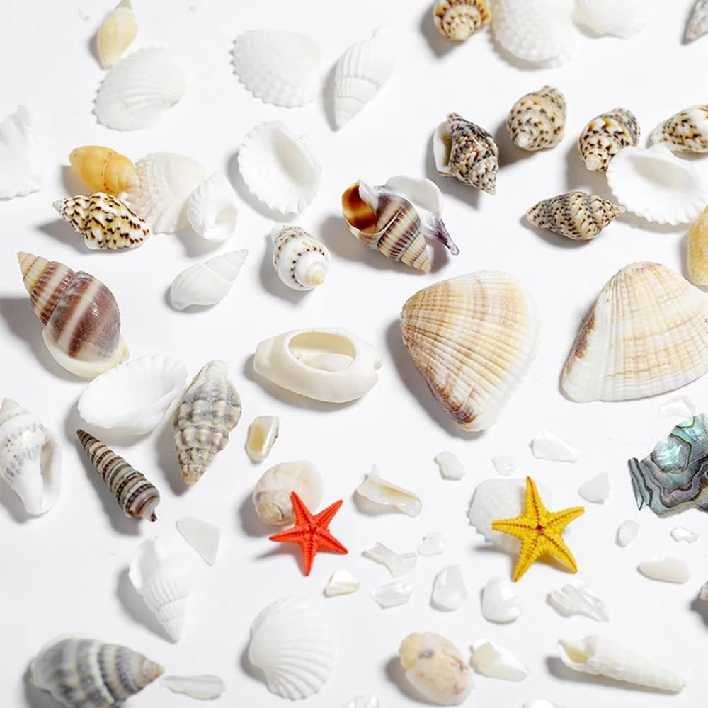 1Box Sea Shells Pearl Resin Fi - Resin Ocean Wave Mold 评论和价格
